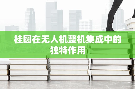 桂圆在无人机整机集成中的独特作用