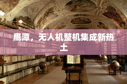鹰潭，无人机整机集成新热土