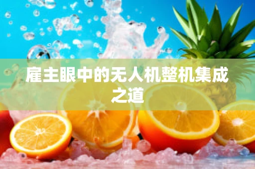 雇主眼中的无人机整机集成之道