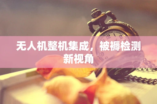 无人机整机集成，被褥检测新视角