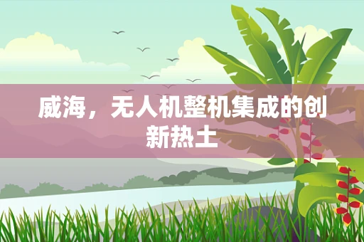 威海，无人机整机集成的创新热土