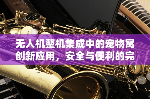 无人机整机集成中的宠物窝创新应用，安全与便利的完美平衡？