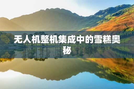 无人机整机集成中的雪糕奥秘