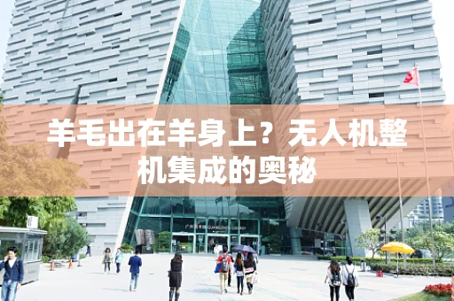 羊毛出在羊身上？无人机整机集成的奥秘