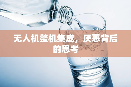 无人机整机集成，厌恶背后的思考