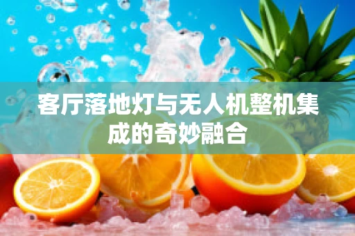 客厅落地灯与无人机整机集成的奇妙融合