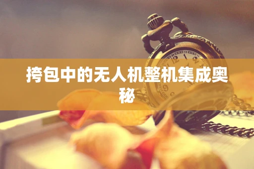 挎包中的无人机整机集成奥秘