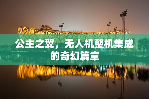 公主之翼，无人机整机集成的奇幻篇章