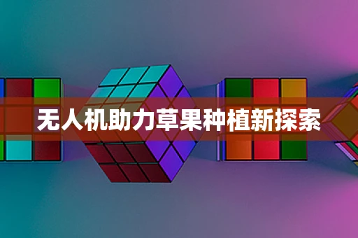 无人机助力草果种植新探索