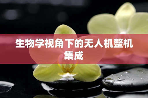 生物学视角下的无人机整机集成