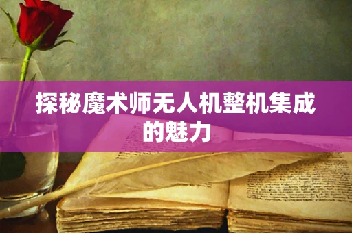 探秘魔术师无人机整机集成的魅力