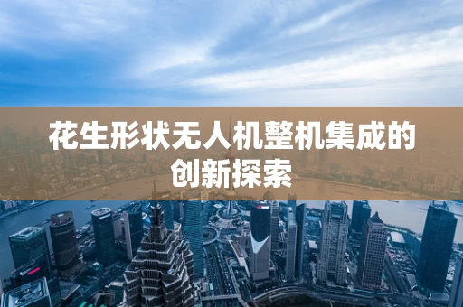 花生形状无人机整机集成的创新探索