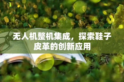 无人机整机集成，探索鞋子皮革的创新应用
