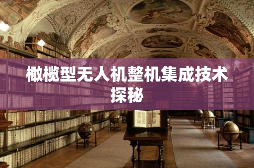 橄榄型无人机整机集成技术探秘