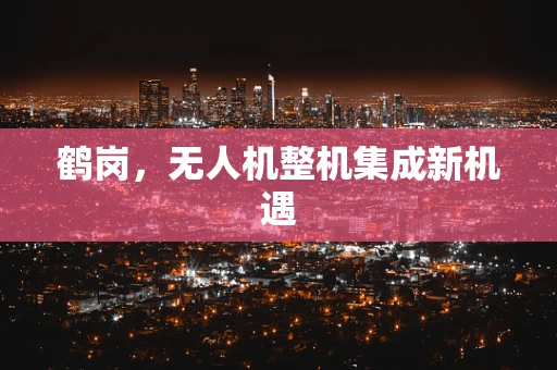 鹤岗，无人机整机集成新机遇