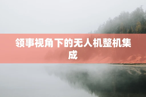 领事视角下的无人机整机集成
