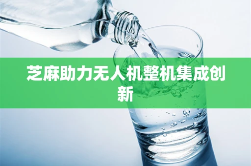 芝麻助力无人机整机集成创新