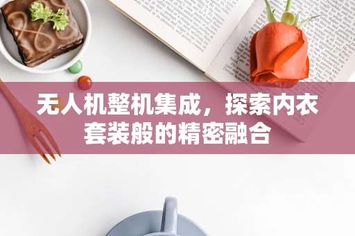 无人机整机集成，探索内衣套装般的精密融合