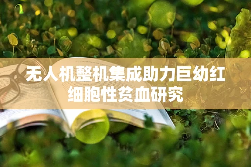 无人机整机集成助力巨幼红细胞性贫血研究