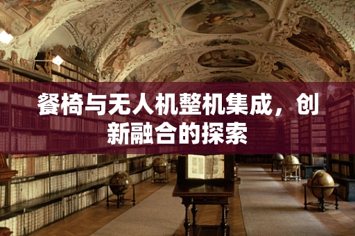 餐椅与无人机整机集成，创新融合的探索