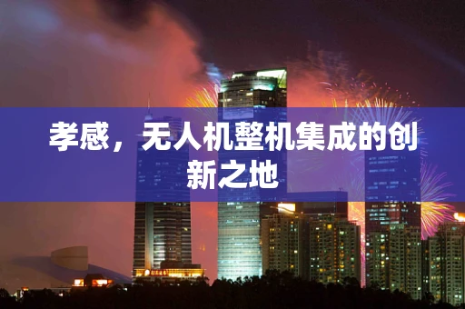 孝感，无人机整机集成的创新之地