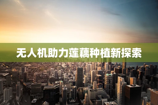 无人机助力莲藕种植新探索