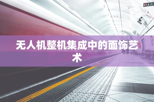 无人机整机集成中的面饰艺术