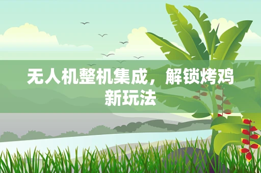 无人机整机集成，解锁烤鸡新玩法