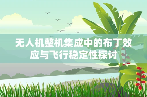 无人机整机集成中的布丁效应与飞行稳定性探讨