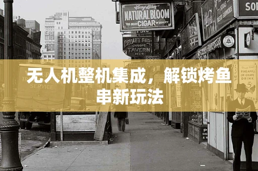 无人机整机集成，解锁烤鱼串新玩法