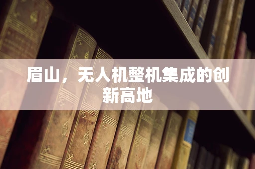 眉山，无人机整机集成的创新高地