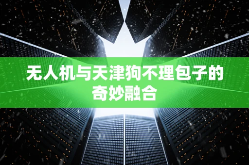 无人机与天津狗不理包子的奇妙融合