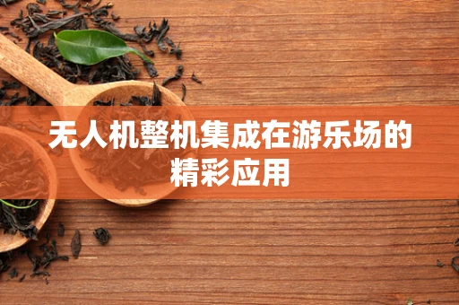 无人机整机集成在游乐场的精彩应用