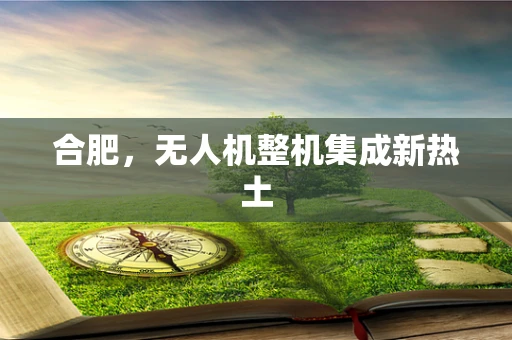 合肥，无人机整机集成新热土