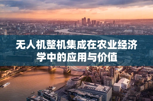 无人机整机集成在农业经济学中的应用与价值