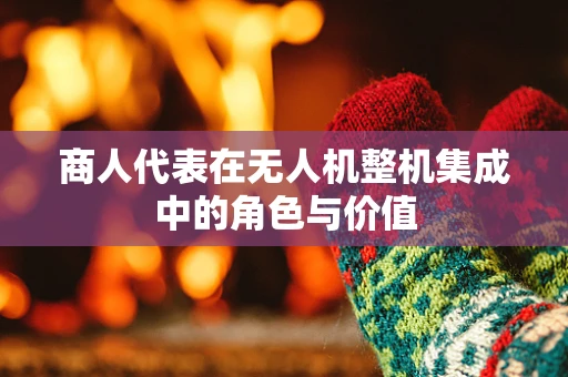 商人代表在无人机整机集成中的角色与价值