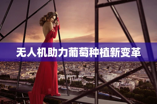 无人机助力葡萄种植新变革
