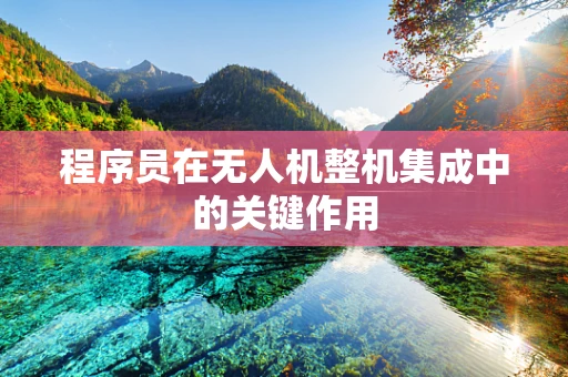 程序员在无人机整机集成中的关键作用