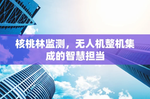 核桃林监测，无人机整机集成的智慧担当