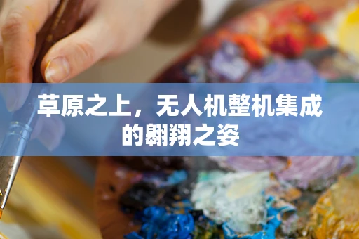 草原之上，无人机整机集成的翱翔之姿