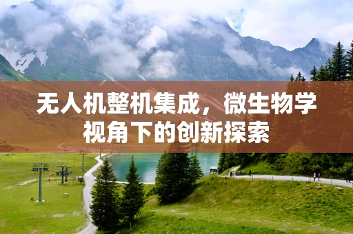 无人机整机集成，微生物学视角下的创新探索