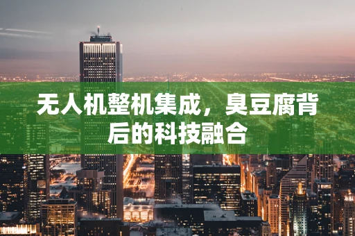 无人机整机集成，臭豆腐背后的科技融合