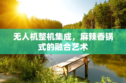 无人机整机集成，麻辣香锅式的融合艺术