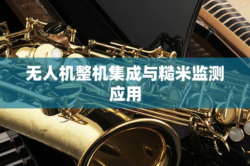 无人机整机集成与糙米监测应用