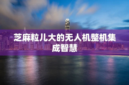 芝麻粒儿大的无人机整机集成智慧