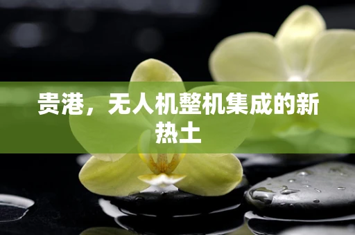 贵港，无人机整机集成的新热土