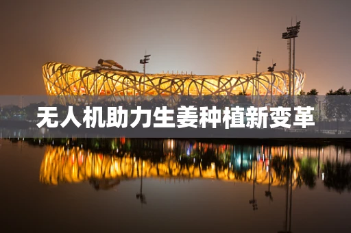无人机助力生姜种植新变革