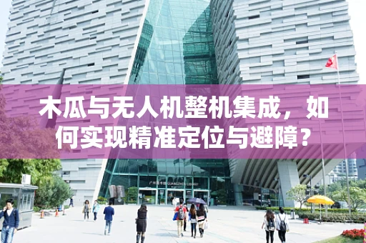 木瓜与无人机整机集成，如何实现精准定位与避障？