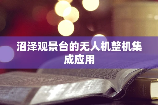 沼泽观景台的无人机整机集成应用
