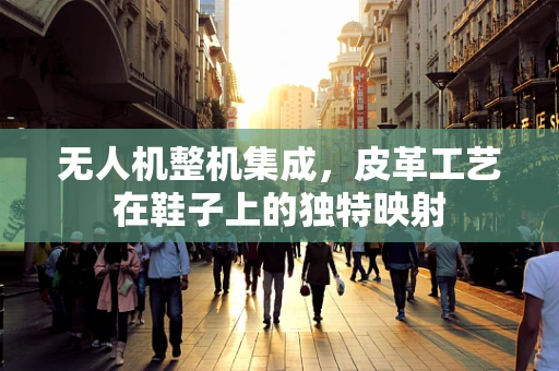 无人机整机集成，皮革工艺在鞋子上的独特映射